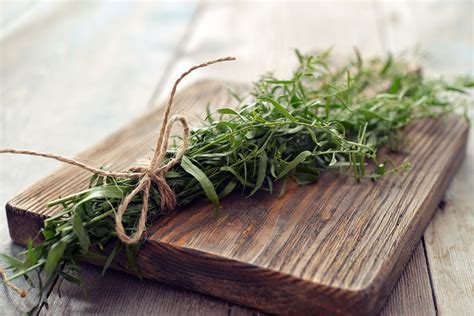 how to use tarragon